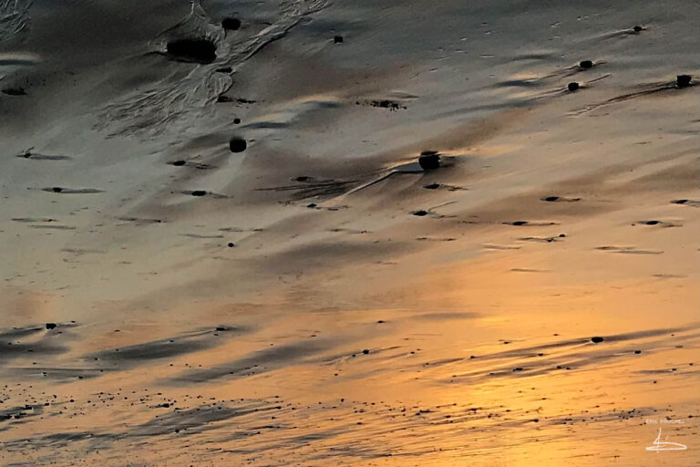 reflet-photo-eric-douchez