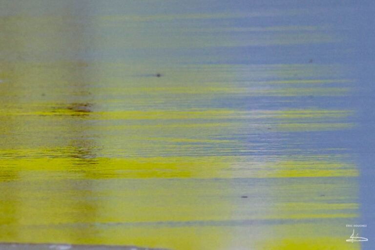 photographie-reflet-effet-miroir