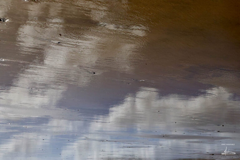 photo-nature-reflets