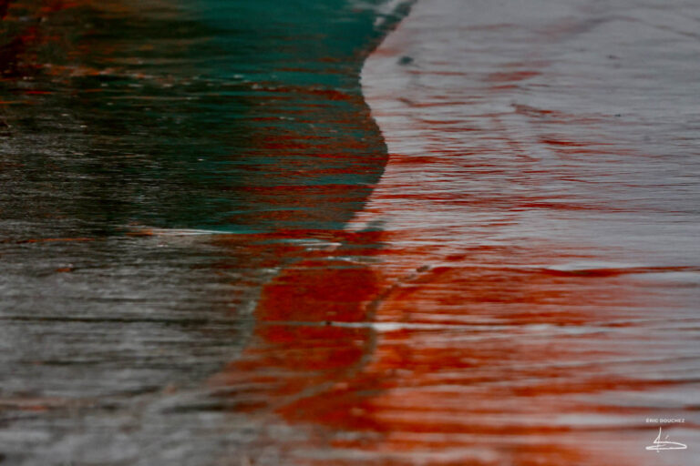 nature-photo-reflet-eau