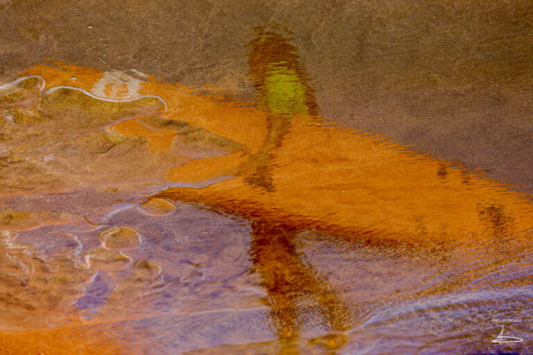 photographie-reflet-artistique-surfer