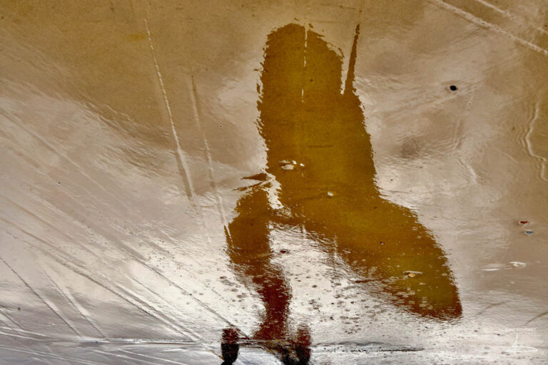 Photo-sportif-char-a-voile